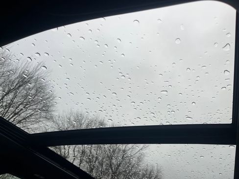 New 2026 Ford F150 Platinum w/ Equipment Group 702A High image 8