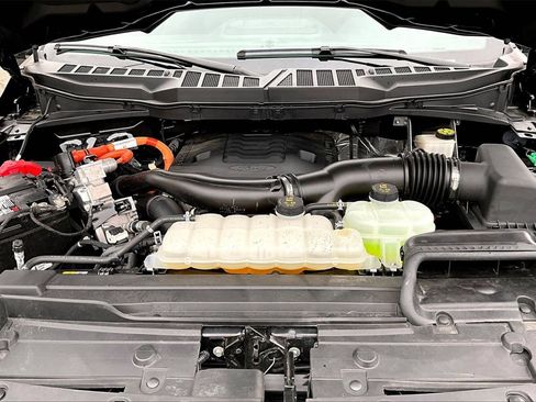 Used 2023 Ford F150 XLT w/ Equipment Group 302A High image 37