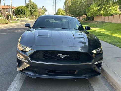 Used 2019 Ford Mustang Premium w/ Ecoboost Performance Package RWD image 3