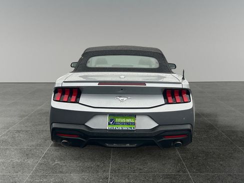 Used 2024 Ford Mustang Premium image 6