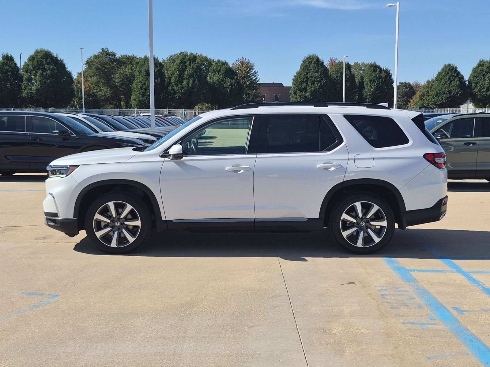 Certified 2025 Honda Pilot Elite image 9