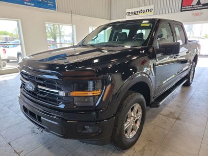 Used 2025 Ford F150 XLT w/ Equipment Group 301A Standard