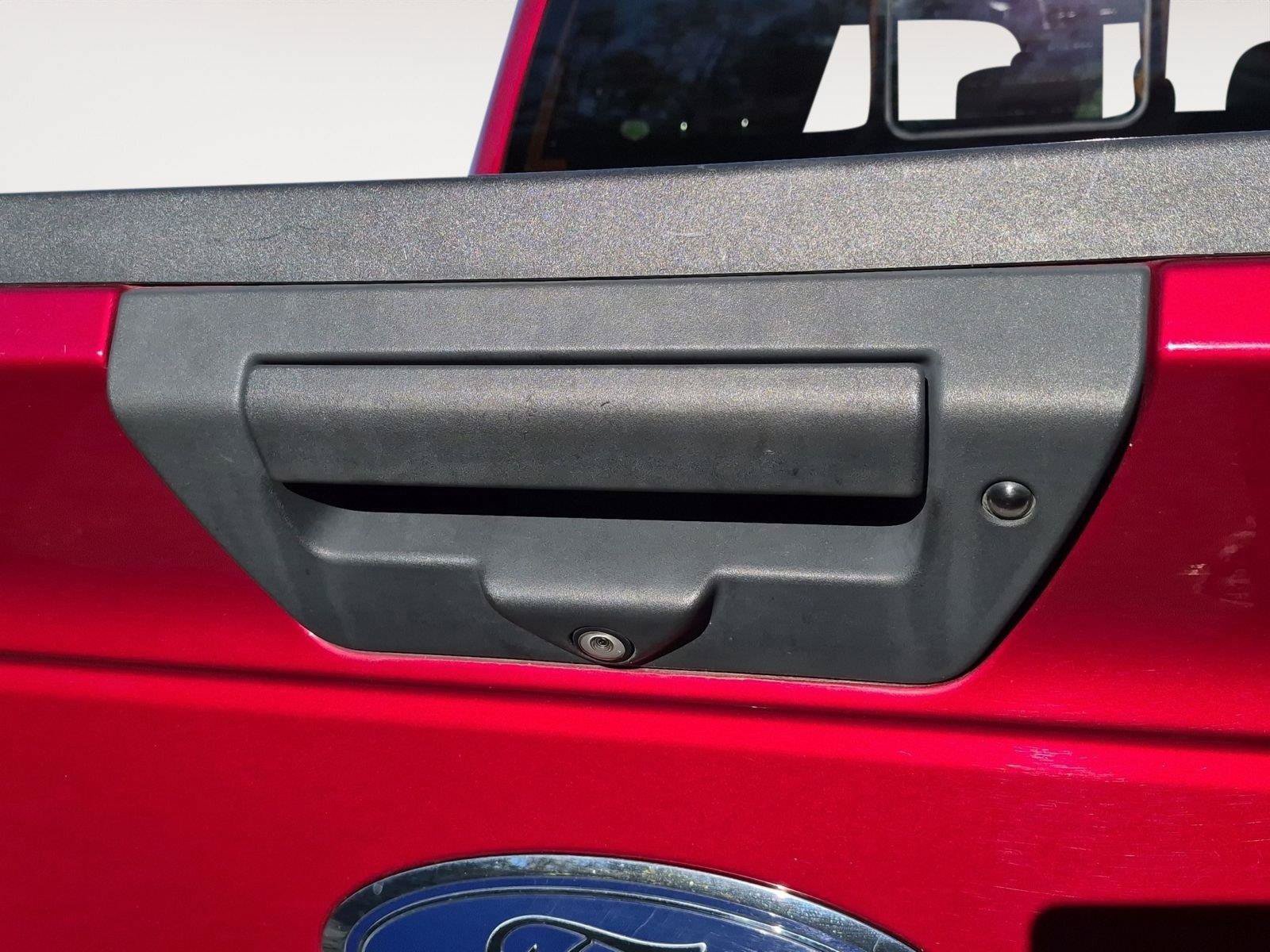 Used 2019 Ford F150 XLT w/ Equipment Group 302A Luxury AWD/4WD image 14