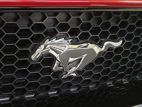 Used 2019 Ford Mustang GT Premium RWD image 8
