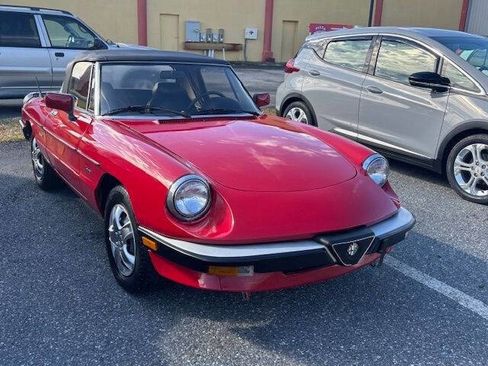 Used 1988 Alfa Romeo Spider Graduate image 17