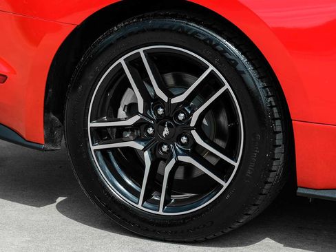 Used 2019 Ford Mustang Premium RWD image 48