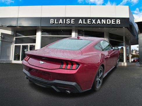 Used 2025 Ford Mustang Coupe RWD image 3