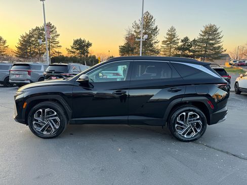 Used 2025 Hyundai Tucson Limited image 11