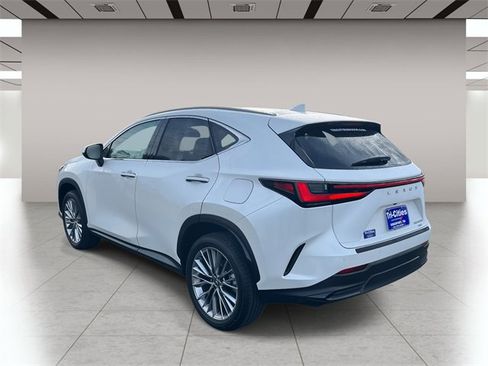 Used 2025 Lexus NX 350h AWD w/ Accessory Package (2T) image 6