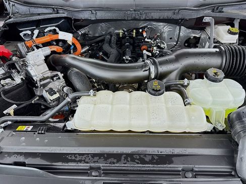 Used 2025 Ford F150 XLT w/ Equipment Group 301A Standard image 27