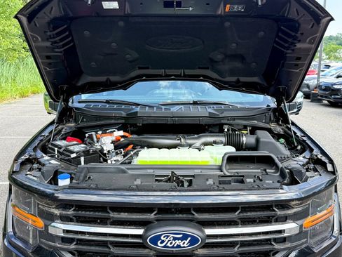 New 2025 Ford F150 XLT w/ Equipment Group 302A MID image 45