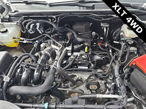 Used 2024 Ford Ranger XLT w/ Trailer Tow Package image 13