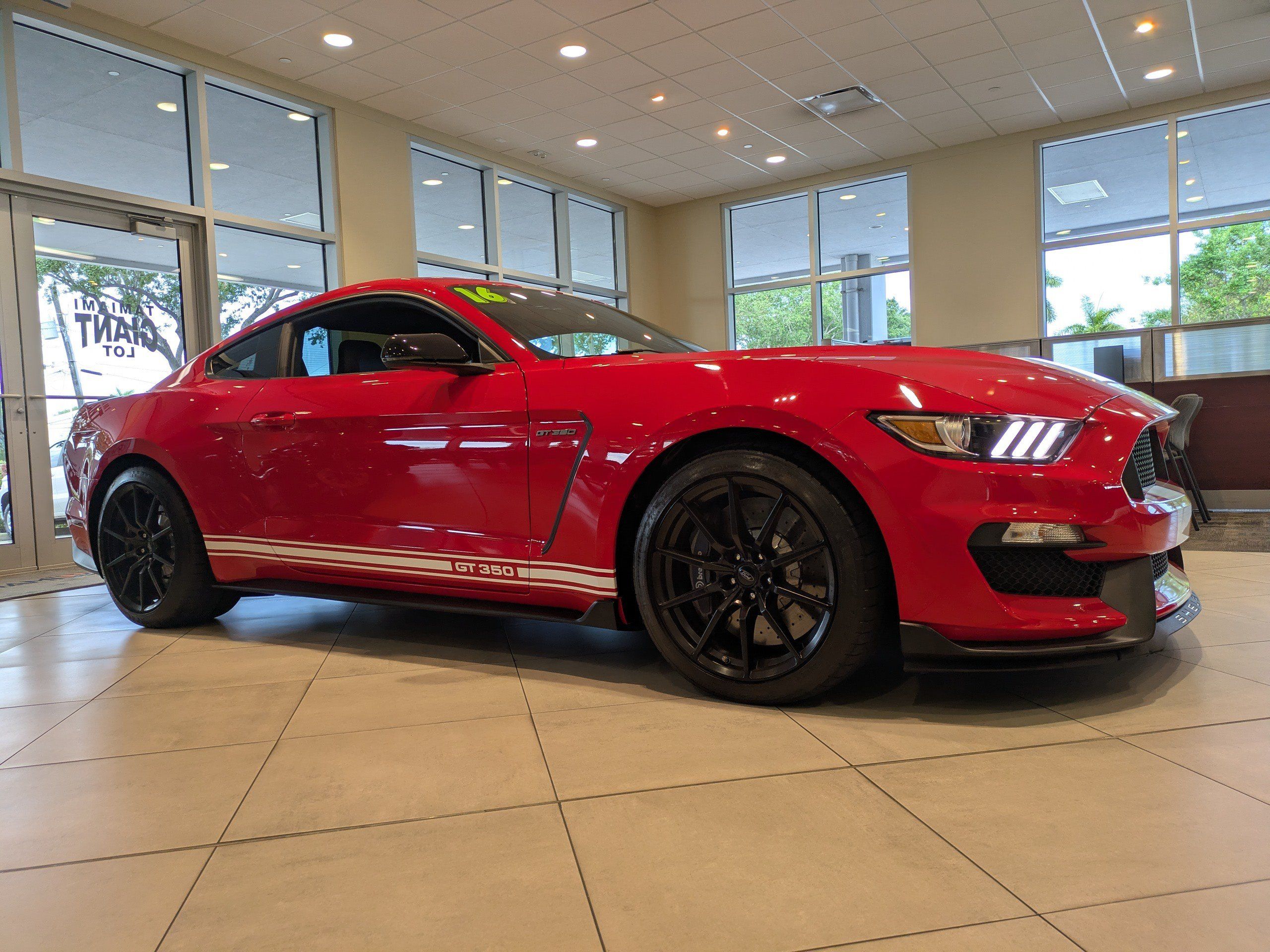 Used 2016 Ford Mustang Shelby GT350 w/ Technology Package RWD image 2