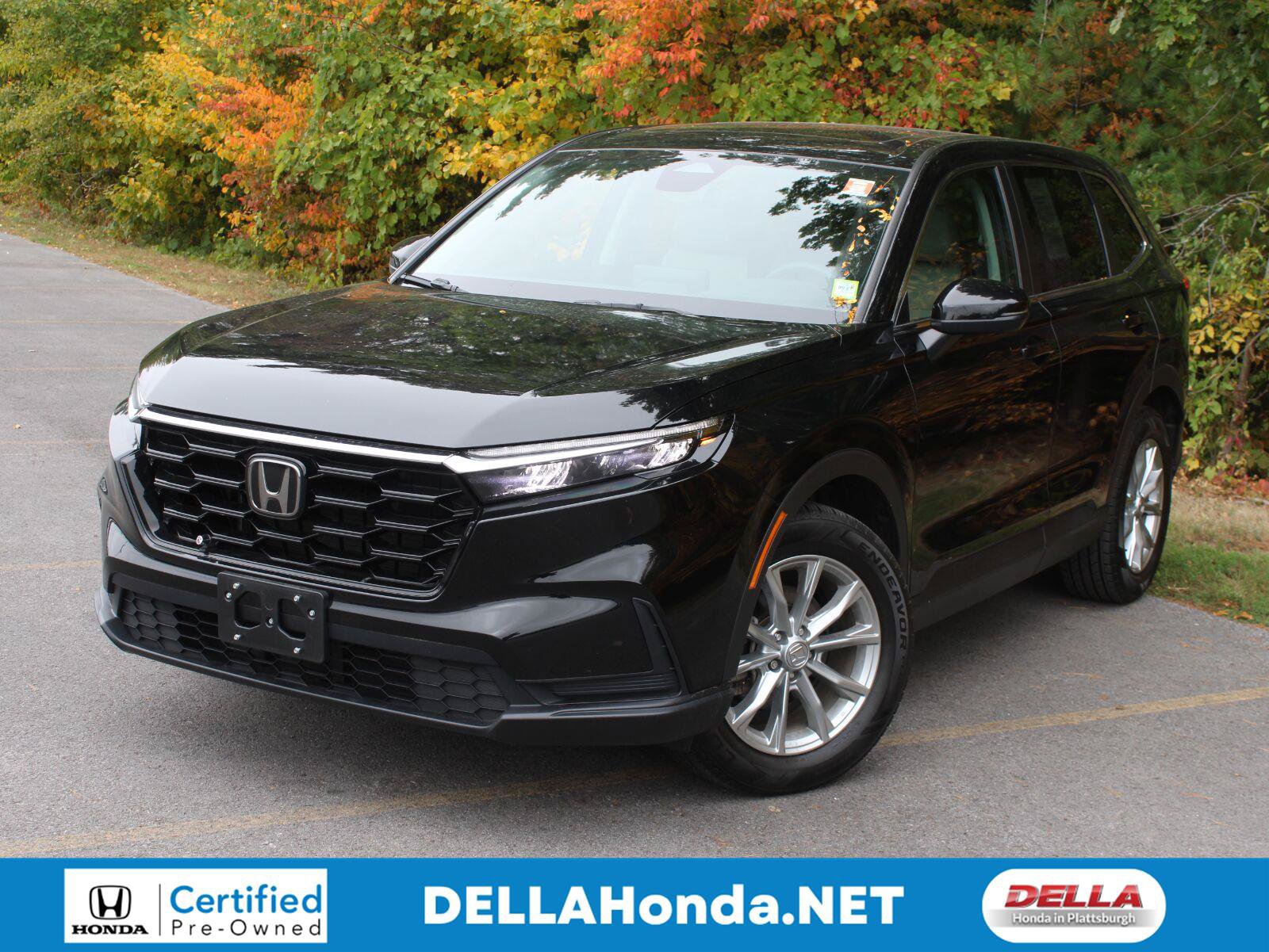 Certified 2024 Honda CR-V EX image 1