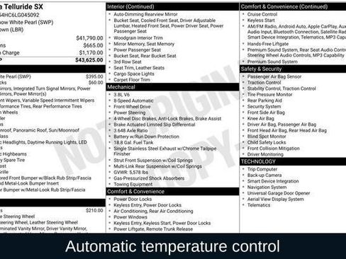 Used 2020 Kia Telluride SX image 3