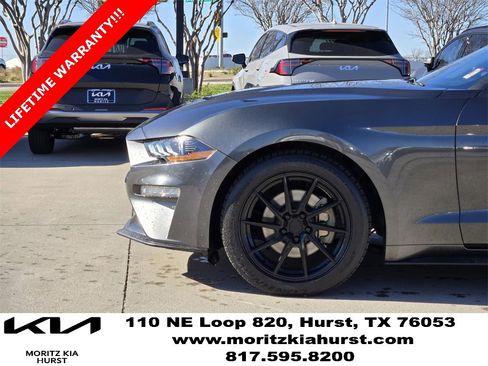 Used 2018 Ford Mustang EcoBoost image 14