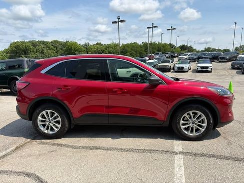 Used 2022 Ford Escape SE w/ Cold Weather Package AWD/4WD image 8
