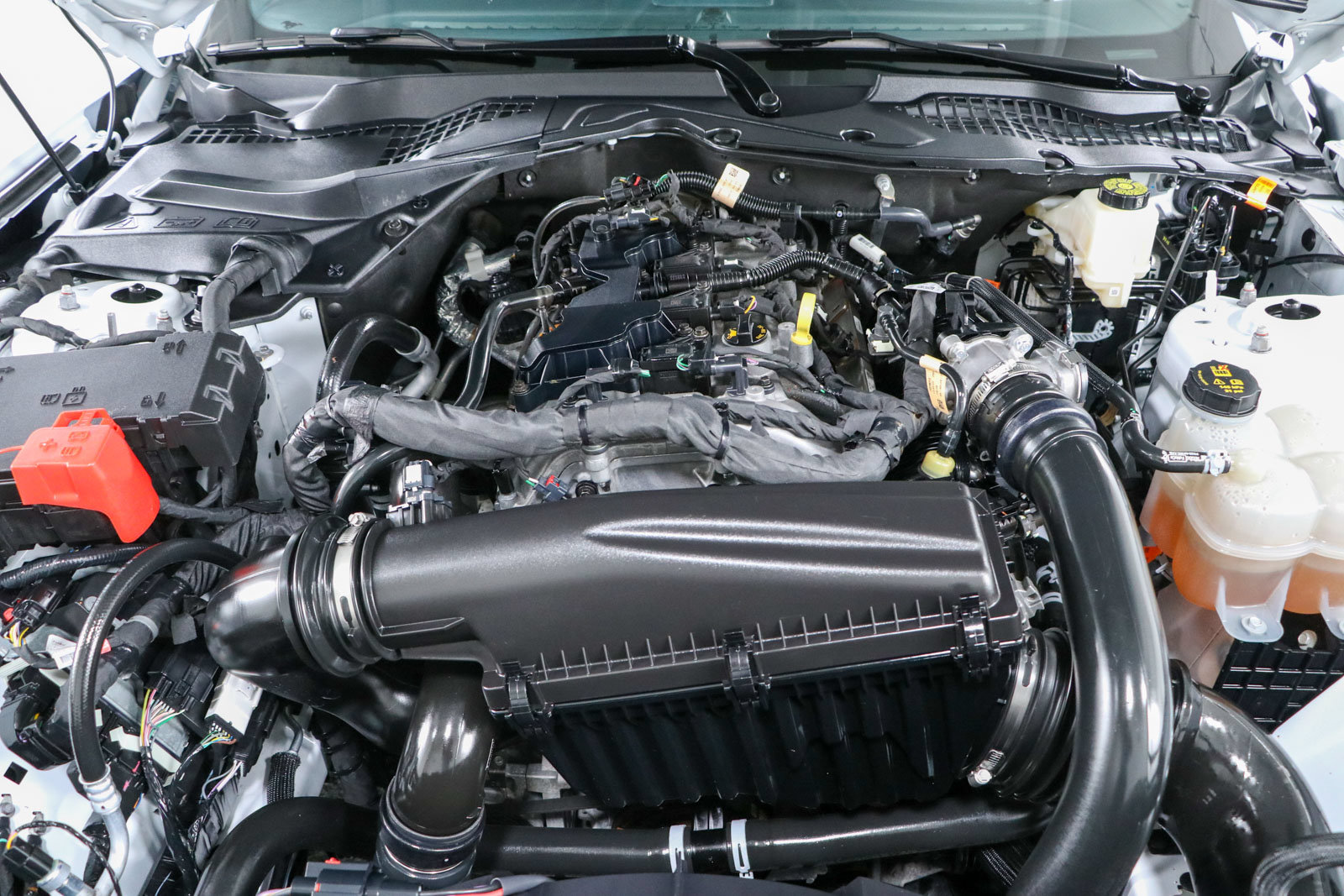 Used 2024 Ford Mustang Coupe RWD image 28