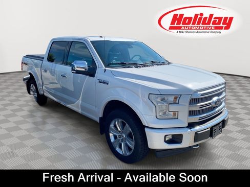 Used 2017 Ford F150 Platinum w/ Equipment Group 701A Luxury AWD/4WD image 1