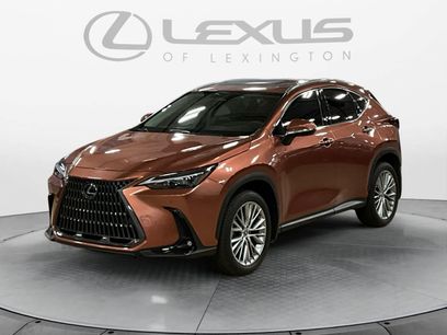 Certified 2025 Lexus NX 350 AWD w/ Cold Area Package