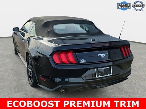 Used 2023 Ford Mustang Premium image 5