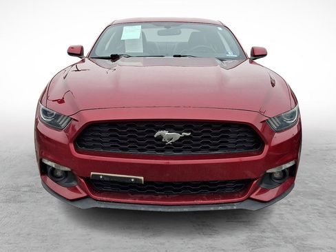 Used 2016 Ford Mustang Premium w/ Equipment Group 201A image 2