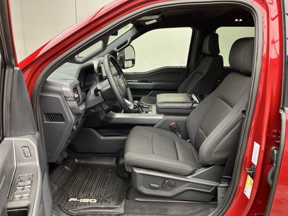 New 2025 Ford F150 XLT w/ Equipment Group 302A MID