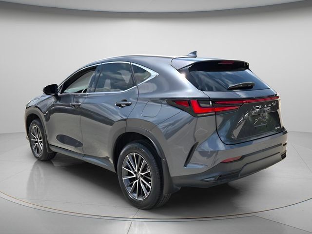 Used 2024 Lexus NX 250 FWD image 7