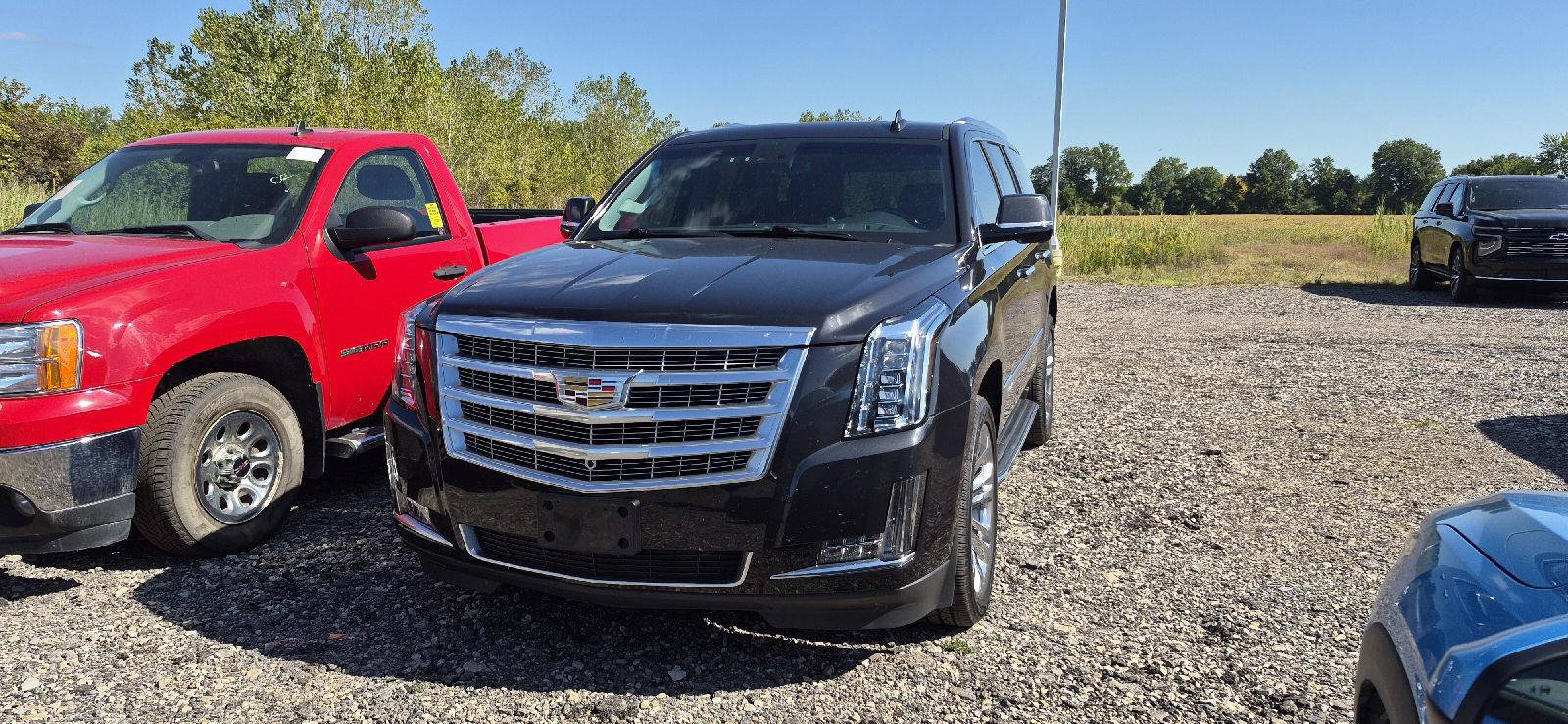 Used 2019 Cadillac Escalade Luxury w/ LPO, Radiant Package AWD/4WD image 1