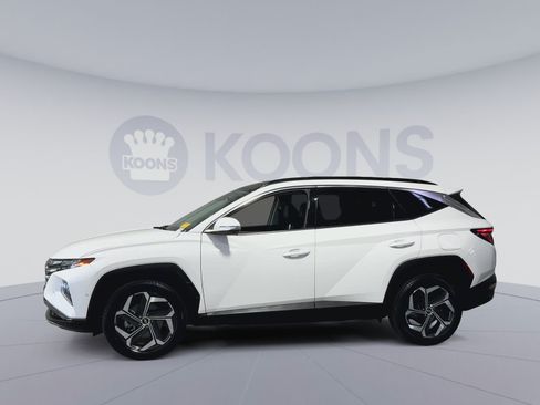 Used 2023 Hyundai Tucson Limited AWD/4WD image 7
