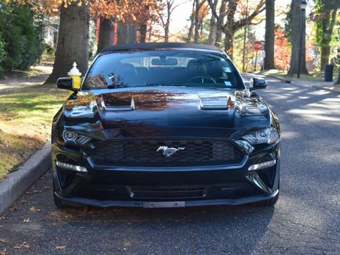 Used 2019 Ford Mustang Premium image 15