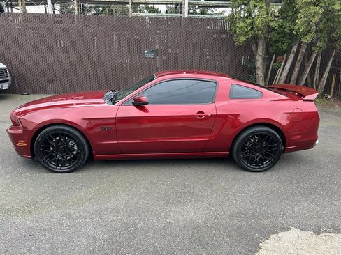 Used 2014 Ford Mustang GT w/ Equipment Group 301A image 2