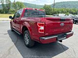 Used 2019 Ford F150 XLT w/ Equipment Group 302A Luxury image 4