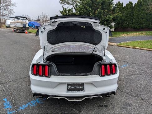 Used 2017 Ford Mustang GT Premium w/ Equipment Group 401A image 7