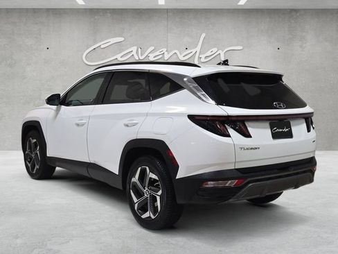 Used 2023 Hyundai Tucson Limited image 14