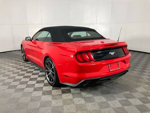 Used 2019 Ford Mustang Premium w/ Equipment Group 201A image 4
