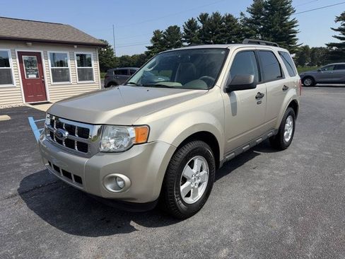 Used 2010 Ford Escape XLT AWD/4WD image 13