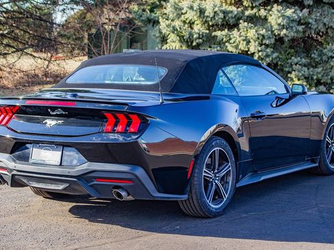 Used 2024 Ford Mustang Premium image 9