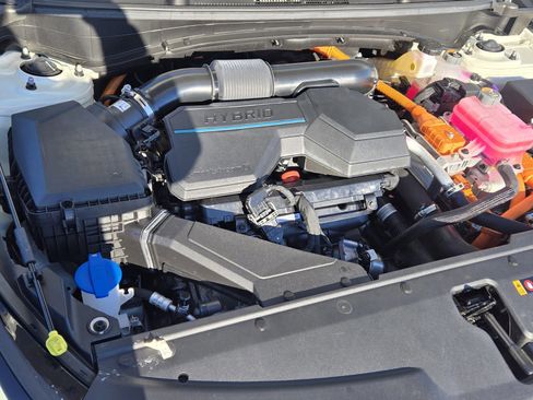 Used 2025 Kia Sportage LX image 24