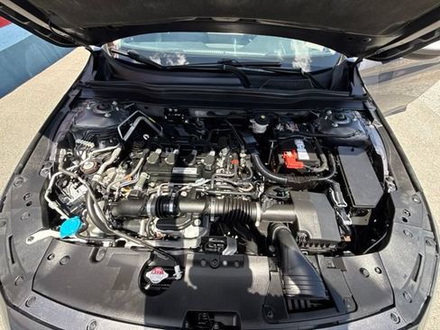 Used 2019 Honda Accord LX image 19
