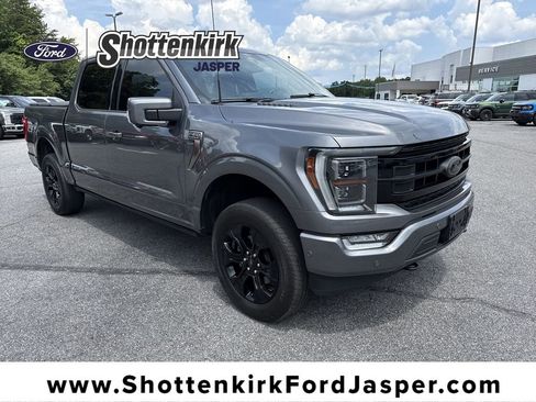 Used 2023 Ford F150 Platinum w/ Equipment Group 701A High AWD/4WD image 1