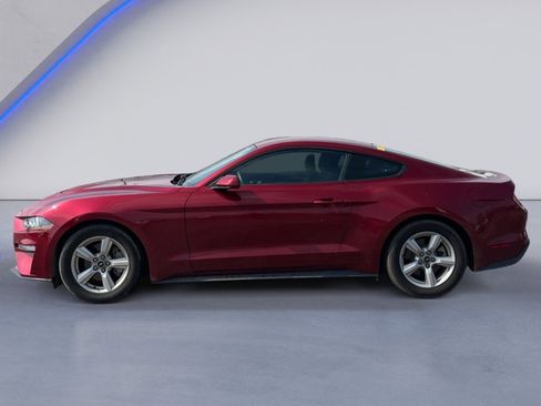 Used 2019 Ford Mustang Coupe image 3