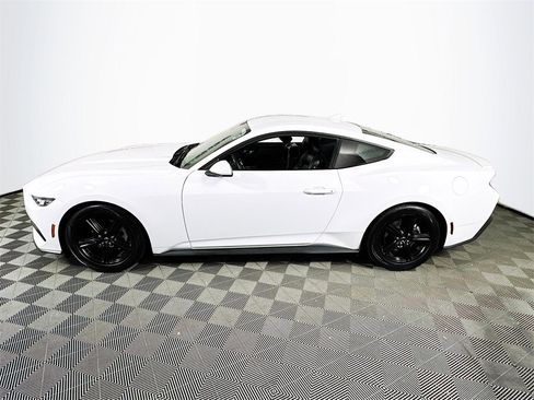 Used 2024 Ford Mustang Premium image 4