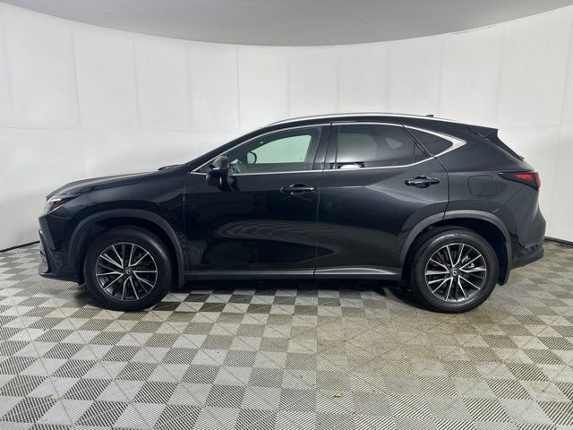 Used 2024 Lexus NX 350 AWD w/ Cold Area Package image 4