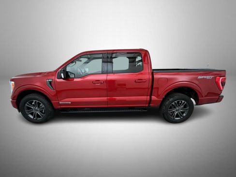 Used 2021 Ford F150 XLT w/ Equipment Group 302A High AWD/4WD image 8