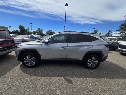 Used 2023 Hyundai Tucson Blue AWD/4WD image 2