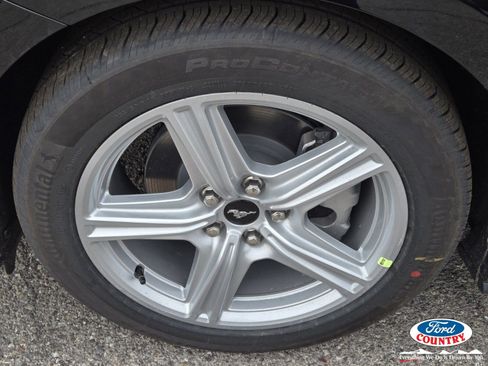 New 2026 Ford Mustang EcoBoost image 5