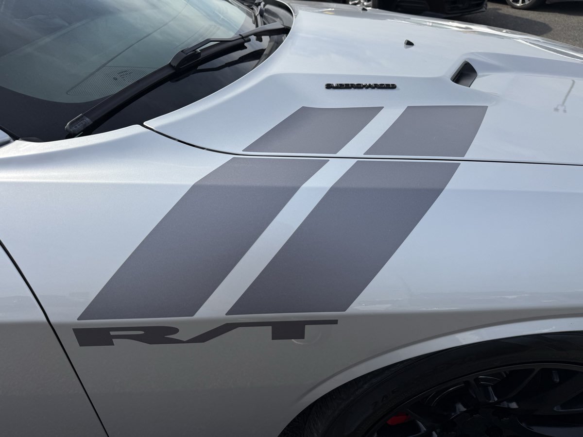 Used 2009 Dodge Challenger R/T RWD image 4