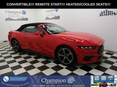 Used 2024 Ford Mustang Premium RWD image 1