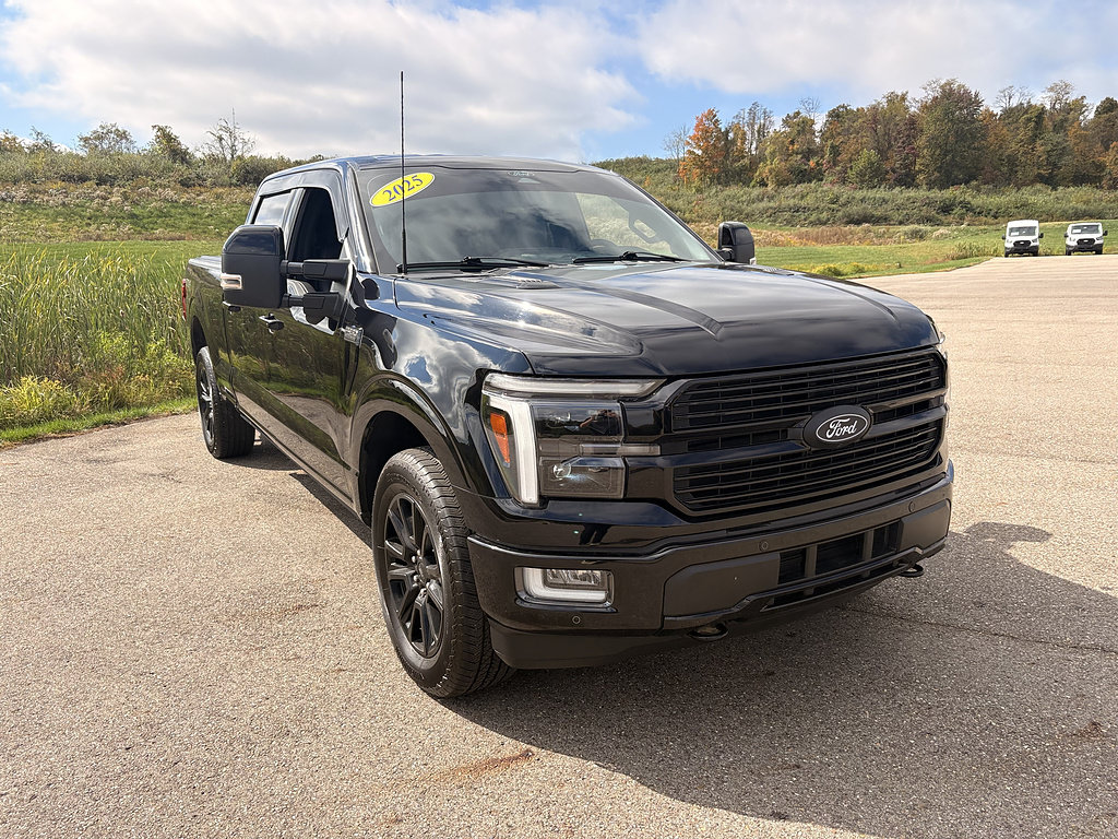 Used 2025 Ford F150 Platinum w/ FX4 Off-Road Package AWD/4WD image 7